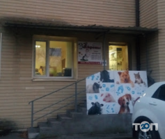 33 корови Харків фото