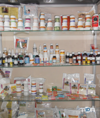 відгуки про 33 корови фото