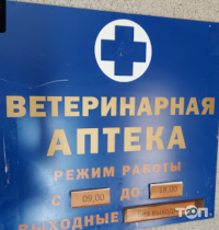 33 корови відгуки фото