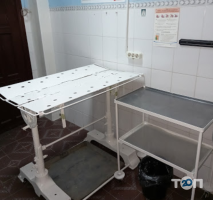 Участковая государственная больница ветеринарной медицины №1 фото