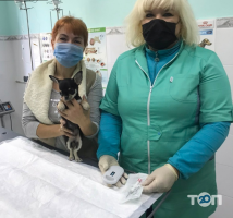 отзывы о Участковая государственная лечебница ветеринарной медицины № 1 фото