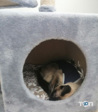 Нафаня Харків фото