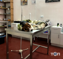 Сімейний ветеринарний кабінетбровських-Горщук Миколаїв фото