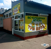 Три кота Київ фото