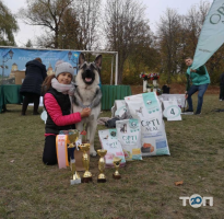 Ветклініка на Шаровечка Хмельницький фото