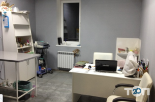 Ветеринарні клініки In vet фото