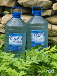 Доставка воды Таурус фото