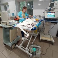 Эксвет отзывы фото
