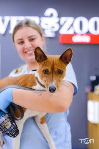 Ветеринарні клініки Vetzoo clinic фото