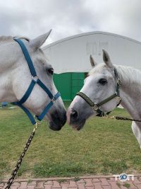 Парадиз Хмельницький відгуки фото