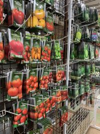 Садочок Вінниця відгуки фото