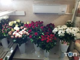 Fresh Flowers, цветочный магазин фото