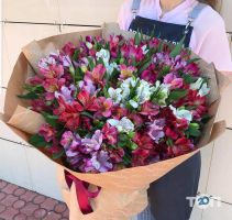 Kompliment відгуки Kompliment відгуки фото
