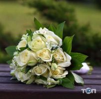 Квіти Кропивницького, доставка цветов фото