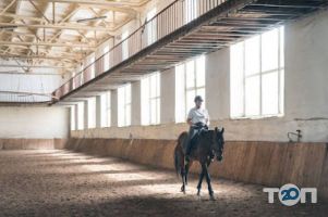 Кінно-спортивна школа Авангард, школа верхової їзди фото