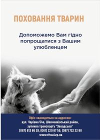 Ритуальні послуги Ритуальні послуги на Чарівній фото