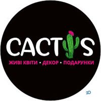 Cactus, магазин цветов - фото 2