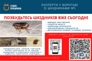 Стоп! Кукарача, служба дезинфекции фото