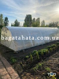 відгуки фото