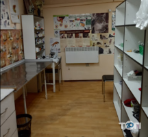 Айболит, ветеринарная клиника фото
