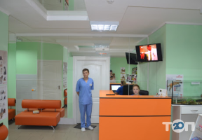 Ветеринарний центр швидкої допомоги Київ фото