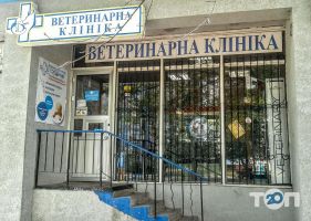 відгуки про Голден-Вет фото