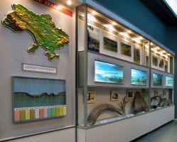 Музеи, выставки Сумской областной краеведческий музей фото