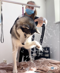 Bon-Bon Dog Spa отзывы фото