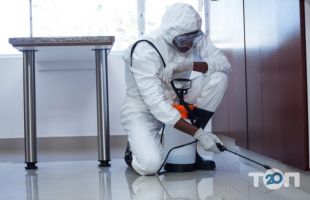 Спецспектор, дезинфекция и дератизация фото