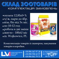 Працевлаштування за кордоном LVI PLUS Працевлаштування за кордоном LVI PLUS фото
