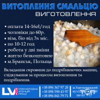 компанія LVI PLUS компанія LVI PLUS фото
