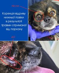 Гранд Плюс відгуки фото