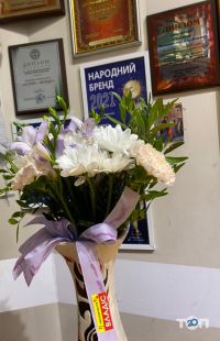 Владис отзывы фото