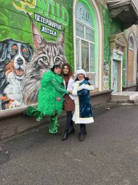 Zoowild, ветеринарна клініка, ветеринарна аптека, зоомагазин - фото 8