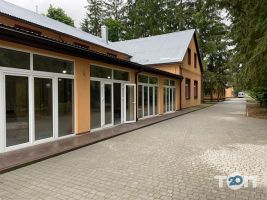 Дерево життя Львів фото