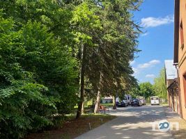 Дерево життя, пансіонат для людей похилого віку фото