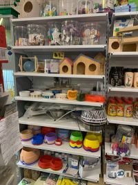 Пітон, зоомагазин фото