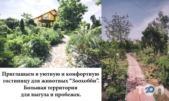 компанія Зоохоббі компанія Зоохоббі фото