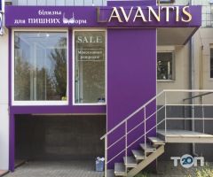 Lavantis, магазин білизни фото