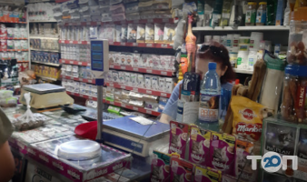 Кот+Пес Николаев фото