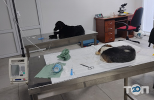 Vet-Help Ивано-Франковск фото