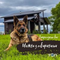 Дика риба відгуки фото