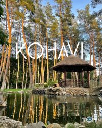 Kohavi Forest Club Днепр фото