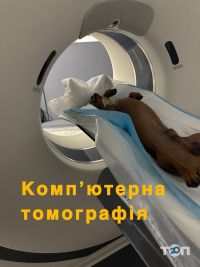 отзывы о Ветеринарный госпиталь фото