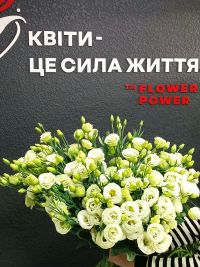 Flower power, квітковий магазин фото