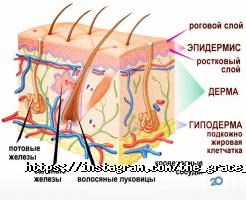 відгуки про The Grace Studio фото