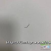 отзывы о Центр Ветеринарной Медицины фото