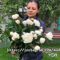 Мадам Ред Дніпро фото