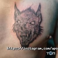 отзывы о Apostol.tattoo фото