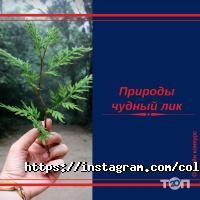 Колледжи, училища, техникумы Колледж фото